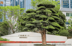 <strong>离项目仅[X]米的[具体地铁坐名称]</strong>